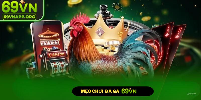 Những mẹo tham gia chơi đá gà 69VN dành cho thành viên mới