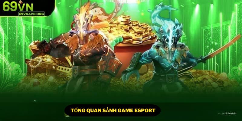 Esports 69VN được chú trọng đầu tư với chất lượng toàn diện